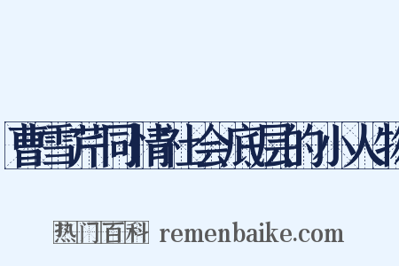 曹雪芹同情社会底层的小人物是什么意思的图片